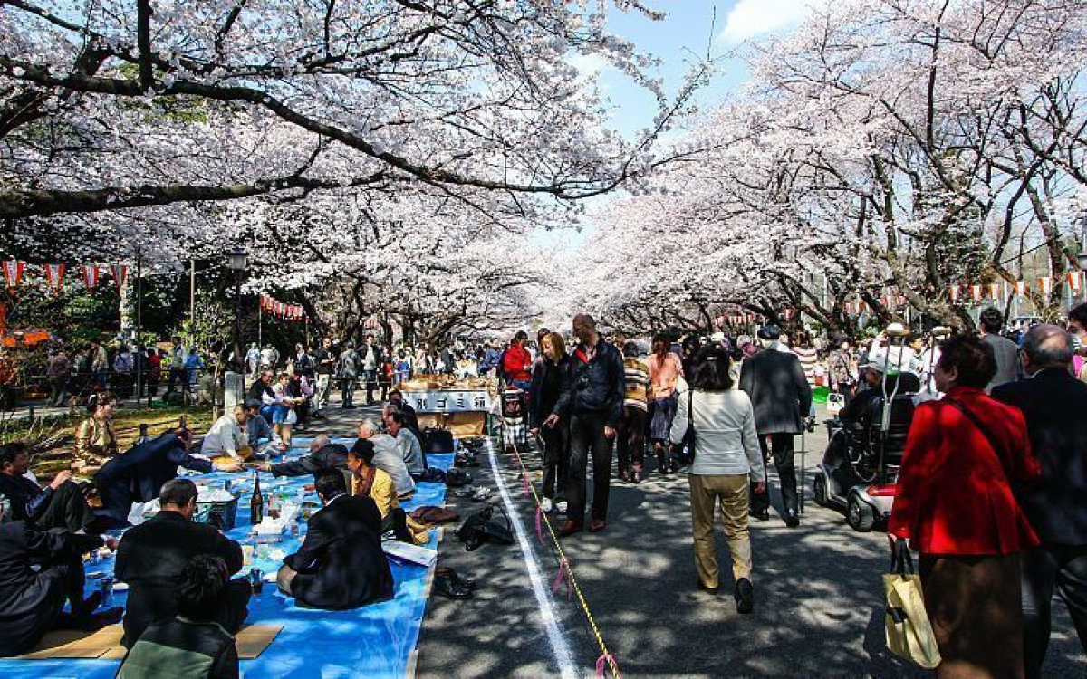 Công viên Ueno Onshi Park là 1 trong 5 địa điểm ngắm hoa anh đào tuyệt đẹp