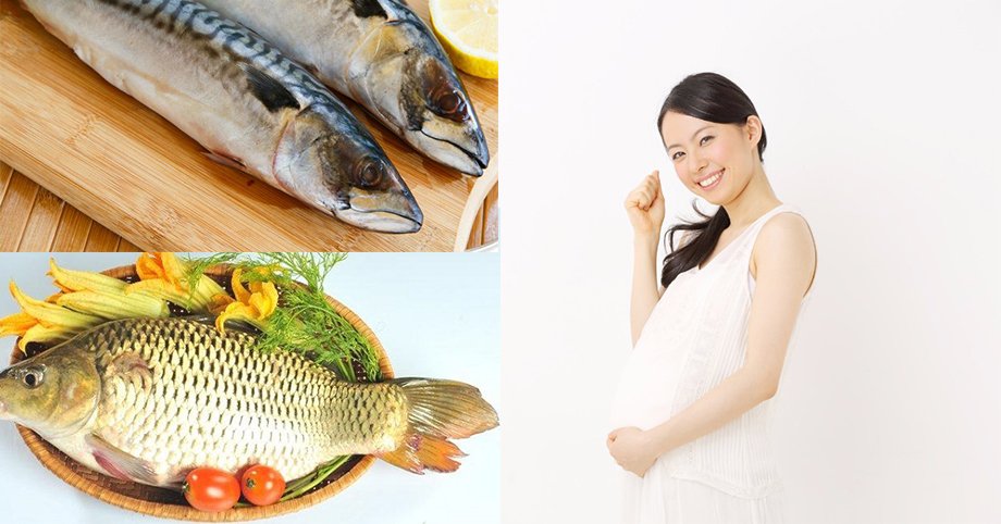 Ăn cá có tốt cho mẹ bầu trong thai kỳ không