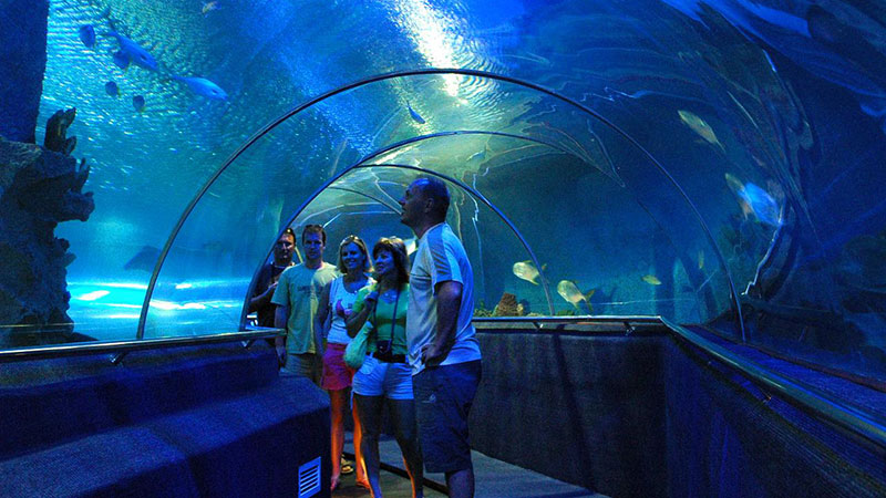 Thủy cung Vinpearl Aquarium